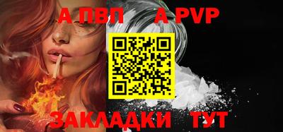 шишки Обь
