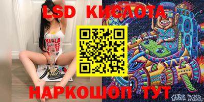 шишки Обь