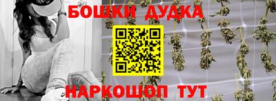 шишки Обь