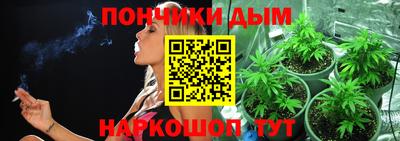шишки Обь