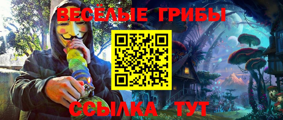 Воронеж  дарнет шоп  Вход с VPN  Псилоцибиновые грибы Cubensis 