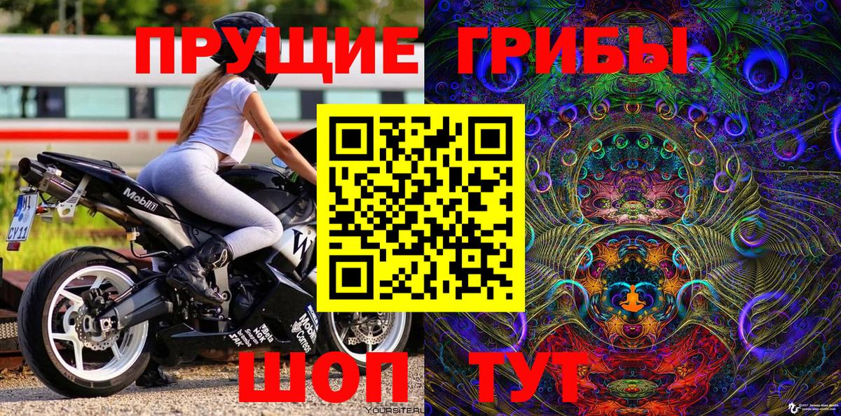 Псилоцибиновые грибы Psilocybine cubensis Воронеж